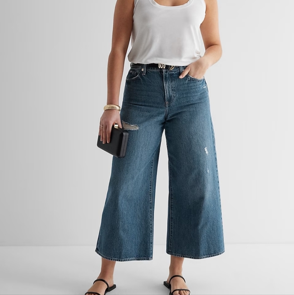 NWT Express Guacho Style Wide Leg Jeans